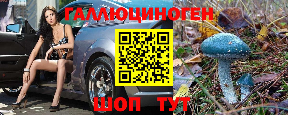 Галлюциногенные грибы мухоморы  Псилоцибиновые грибы прущие грибы  Каменск-Шахтинский  купить наркоту  Вход с VPN 