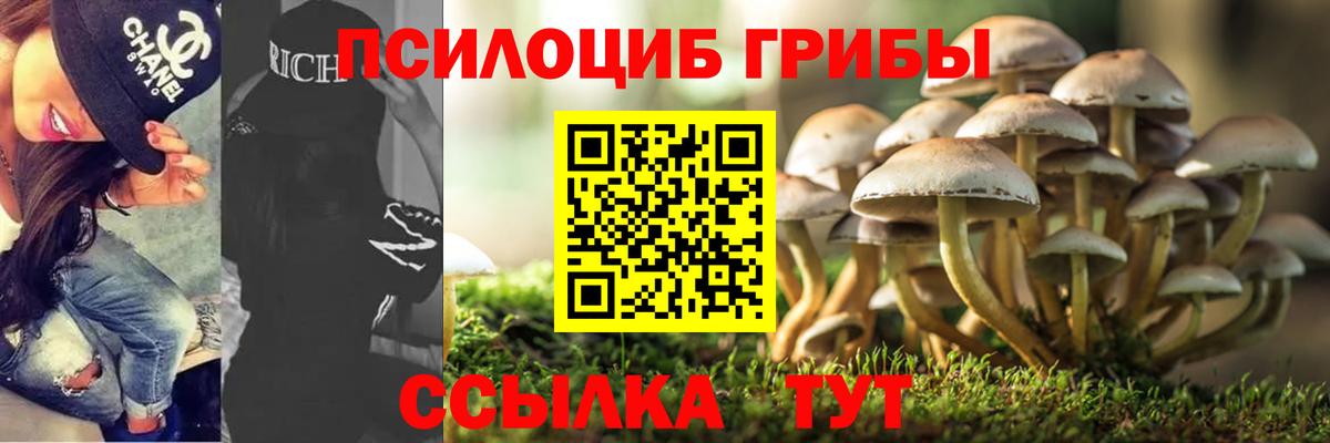 Псилоцибиновые грибы Psilocybine cubensis Каменск-Шахтинский